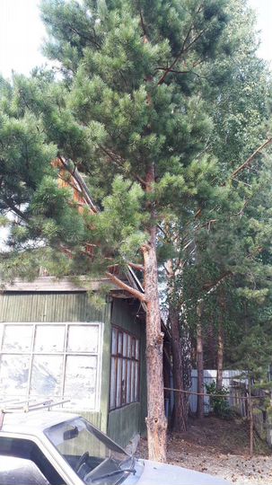 Дача 20 м² на участке 6 сот.