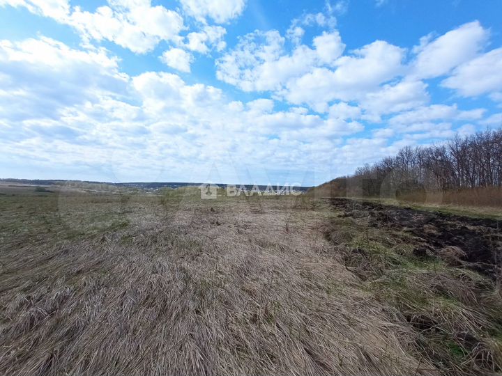 Участок 45 га (СНТ, ДНП)