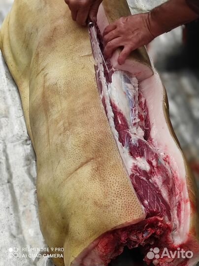 Мясо свинина молоко творог сметана яйца