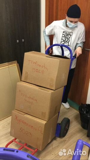 Разнорабочие