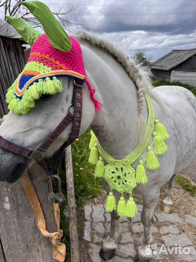 Набор для пони