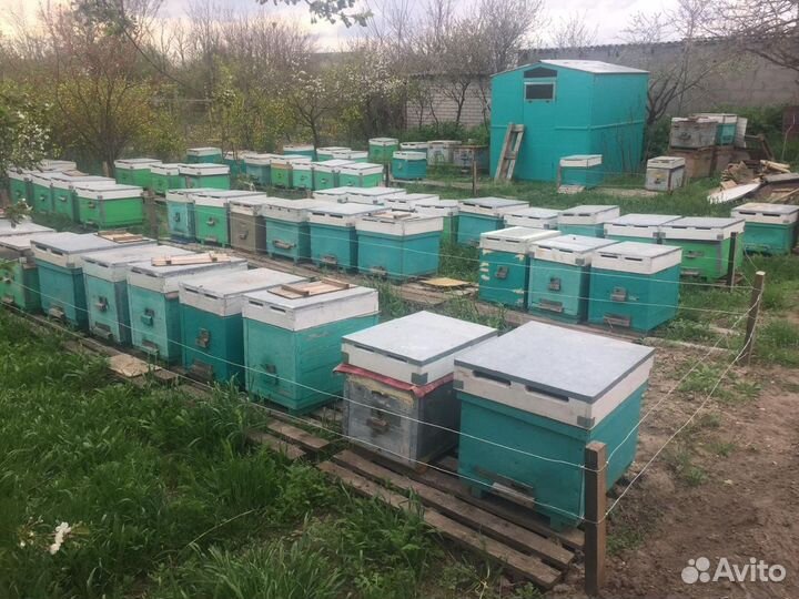 Все для пчеловодства