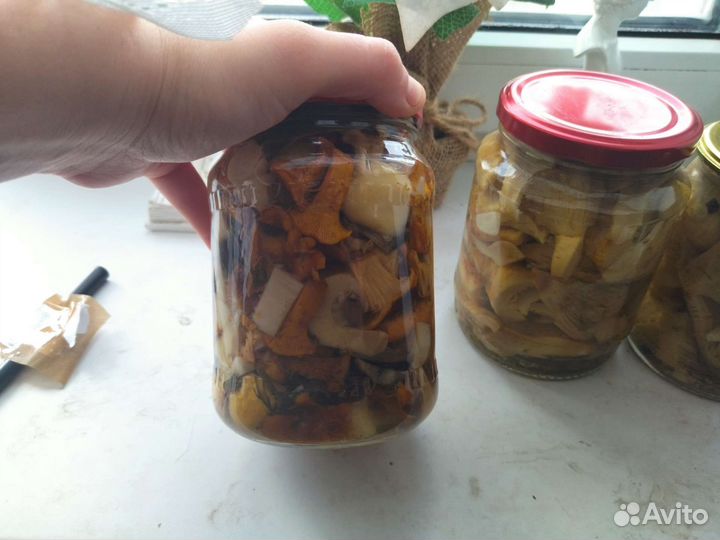 Маринованные грибочки