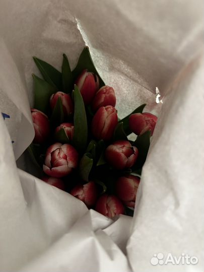 Тюльпаны 15шт последний букет