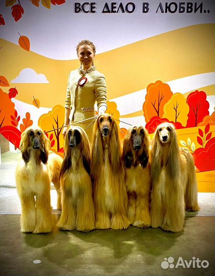 Кинолог с выездом