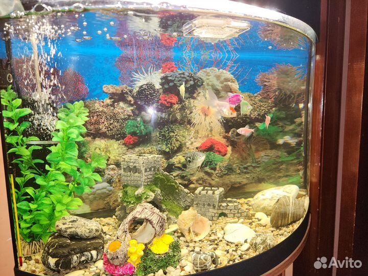 Аквариум