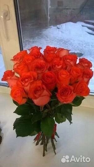 Цветы розы букет