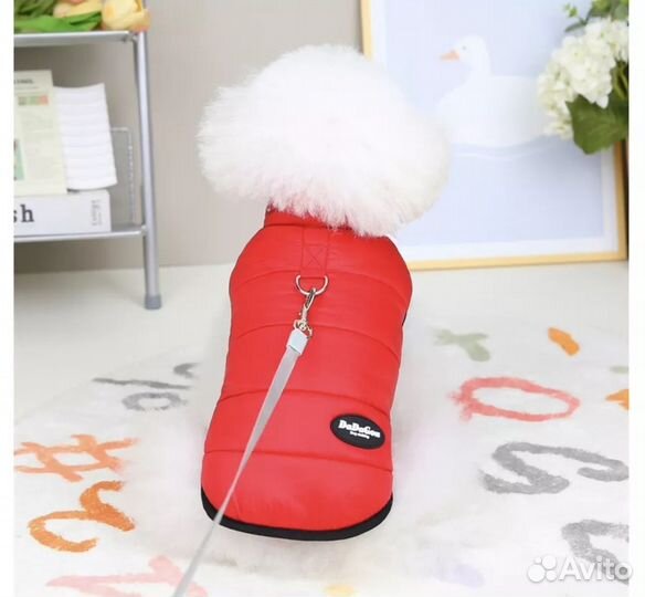 Одежда для средних собак зимняя