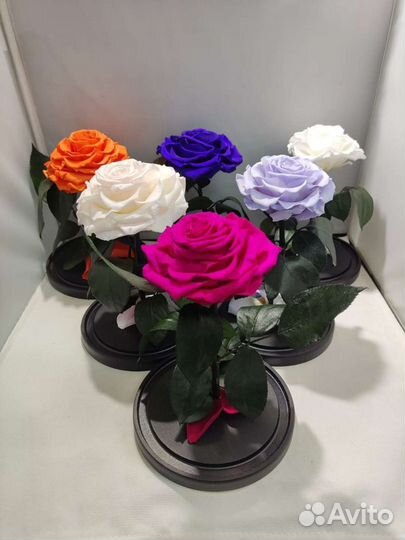 Роза в колбе опт и розница