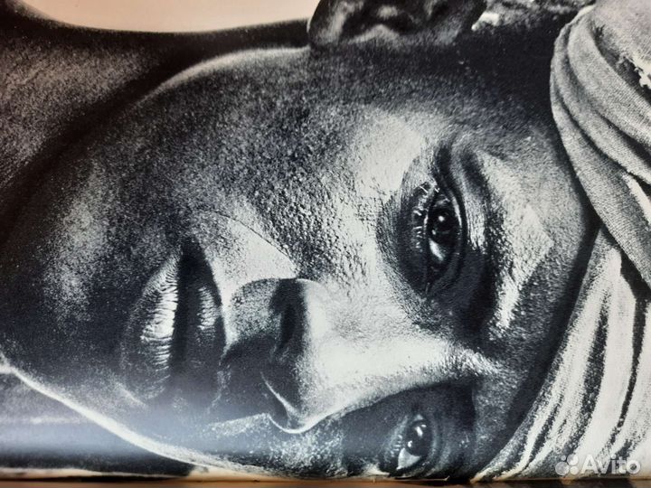 Книга николай козловский