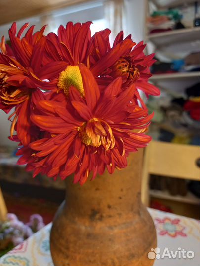 Цветы на срез