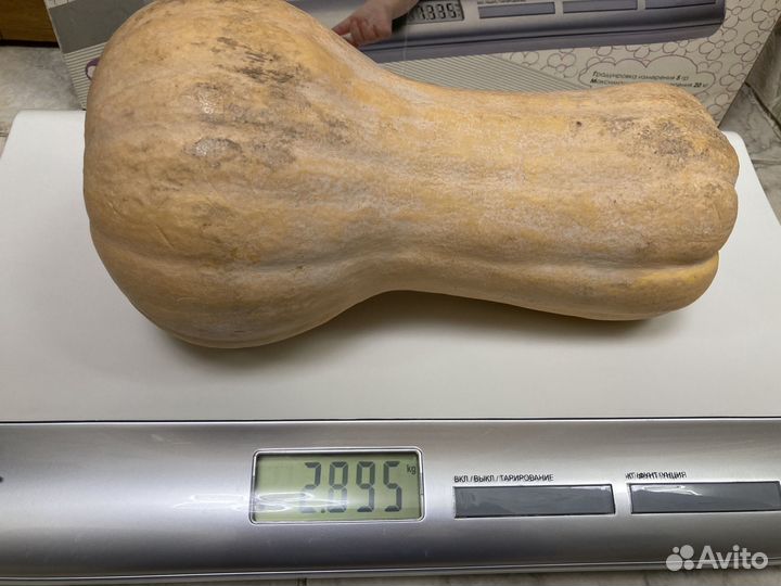 Весы детские до 20 кг бу