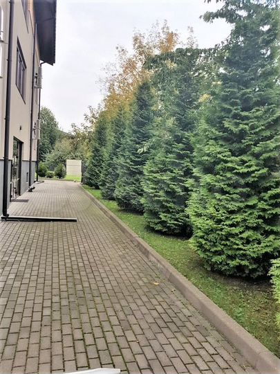 Здание, отель 1000 м²