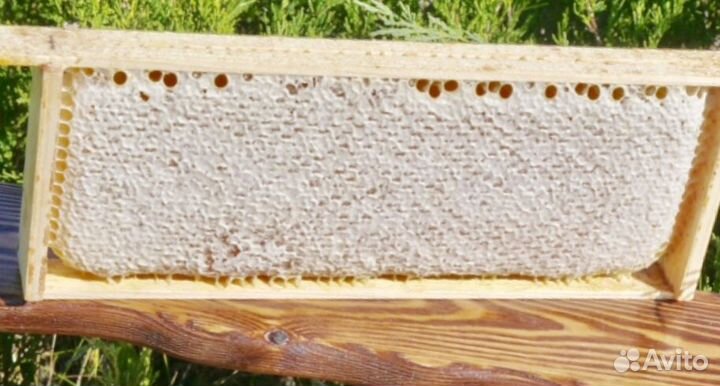 Мед в сотах липовый