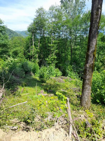 Участок 5 сот. (СНТ, ДНП)