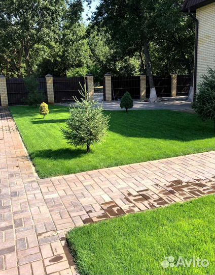 Рулонный газон