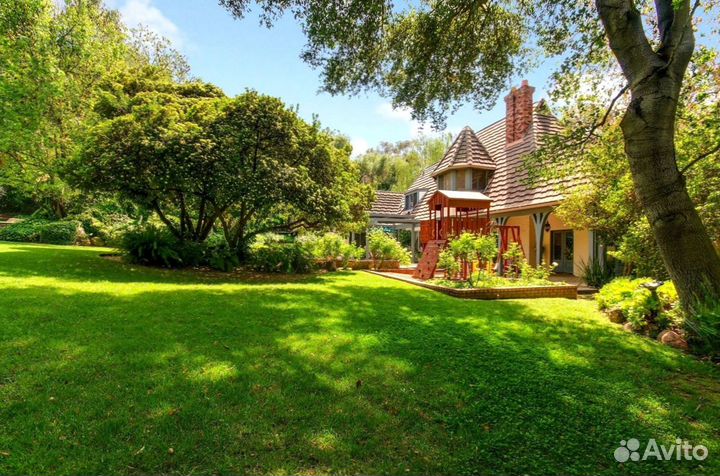 Газон рулонный мятлик производитель