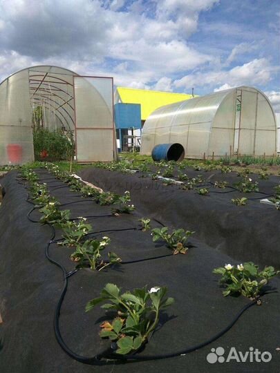 Капельный полив прикорневой