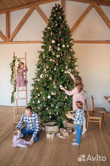 Новогодняя фотосессия Новосибирск