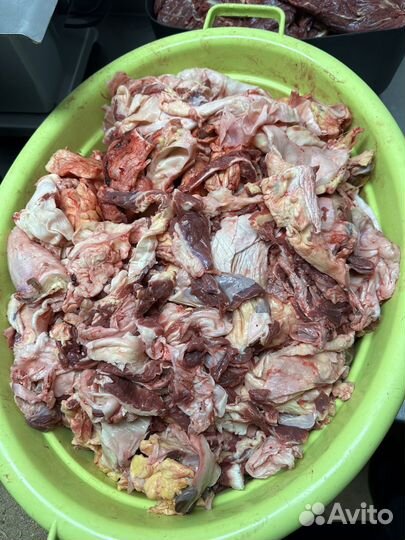 Обрезь для питомцев