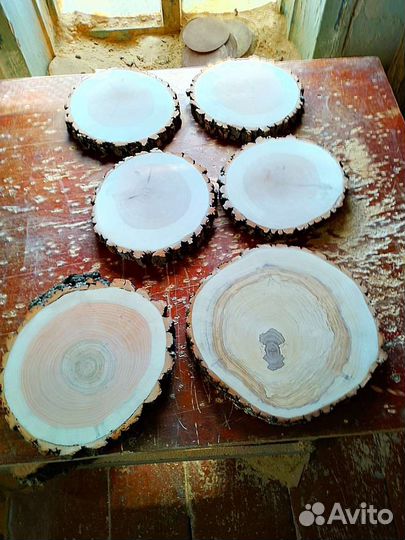 Спил дерева