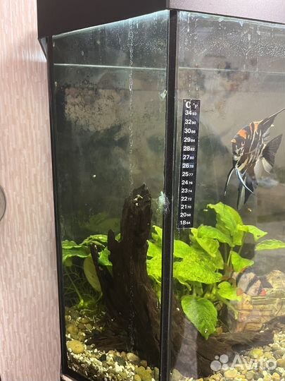 Аквариум с тумбой 150 литров
