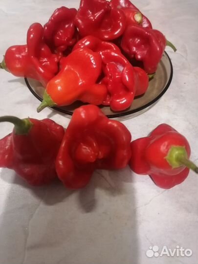 Семена перца разные