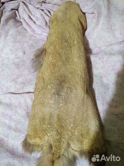 Шкурки : хорёк, ондатра, норка