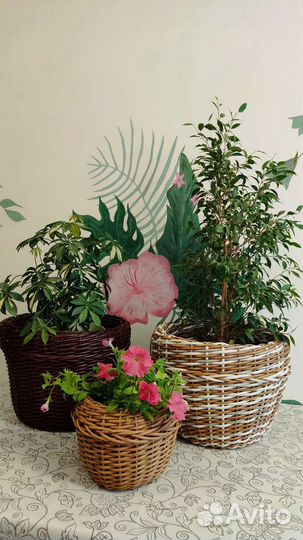 Корзина из ротанга