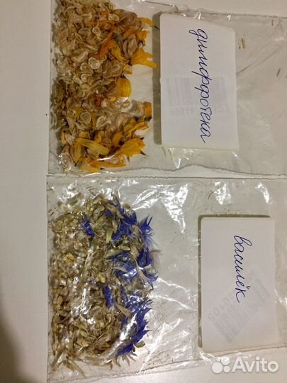 Семена цветов