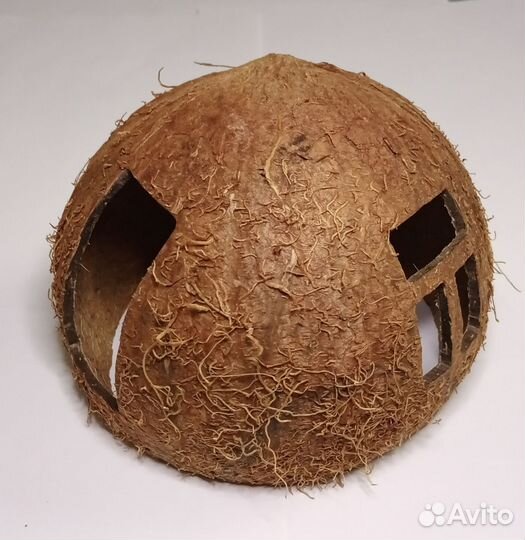 Грот из кокоса, дом для хомяка, домик для ахатин