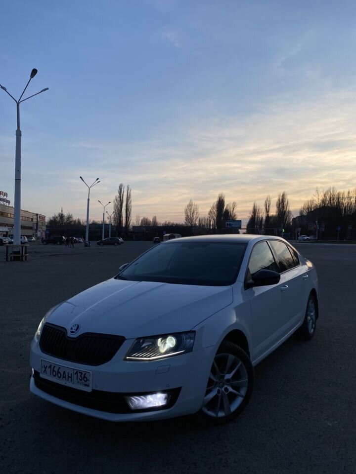 Skoda Octavia: фото владельца