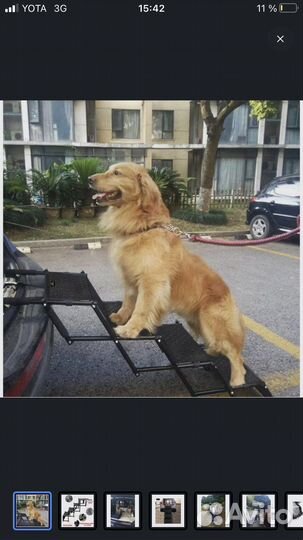 Лестница-трап для собак