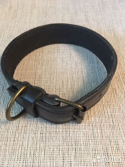 Ошейник для собак