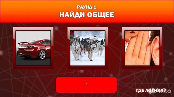 Ведущий квиза Где Логика/Интерактивная игра