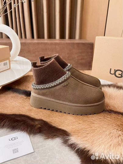 Ugg tazz с носком