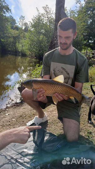 Рыбалка, баня, беседки, база отдыха