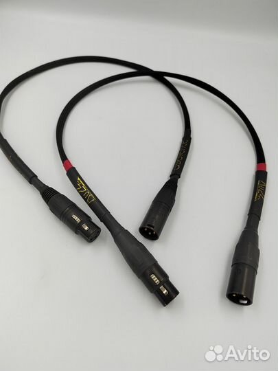 Audience AU 24 XLR (0.75 метр)