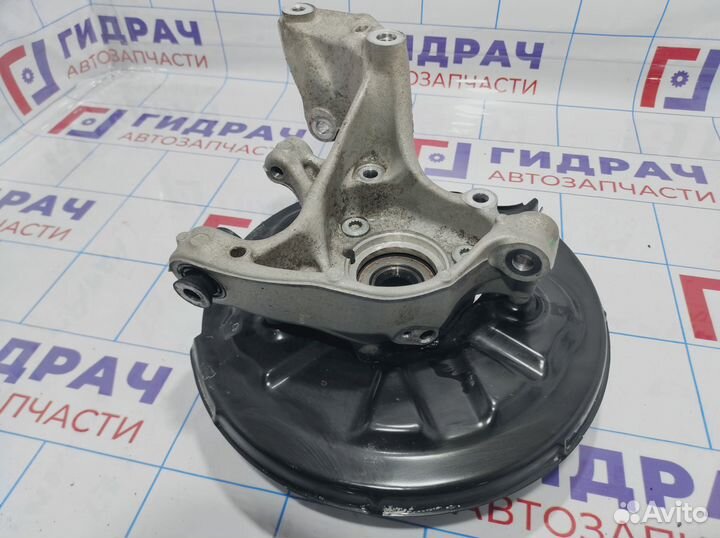 Кулак поворотный задний правый Volkswagen Tiguan