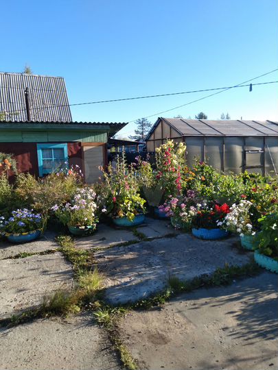 Дача 28 м² на участке 5,1 сот.