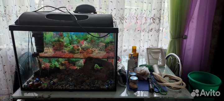 Аквариум + рыбки