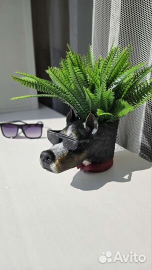 Кашпо для суккулентов