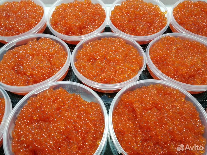 Икра красная Кета Горбуша Нерка 2023