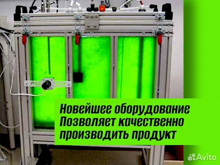 Хлорелла для пруда против цветения