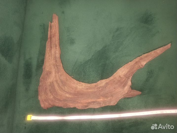 Мангровая коряга в аквариум