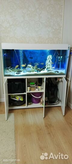 Аквариум 250 литров с тумбой