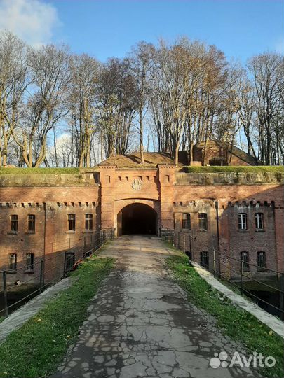 Экскурсии в Калининграде