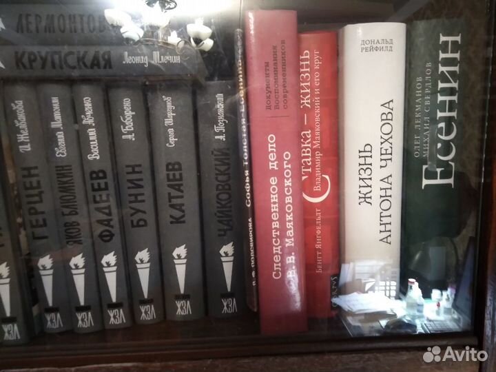 Серия жзл Лучшие биографии