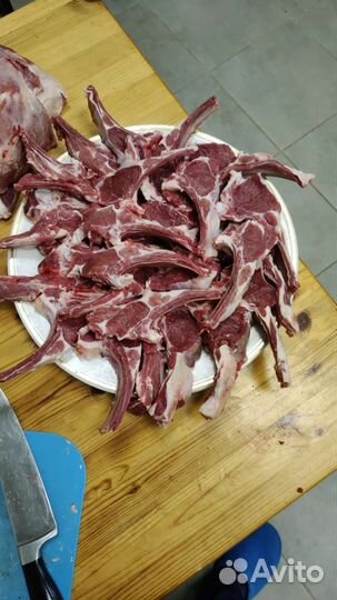 Овцы бараны на мясо