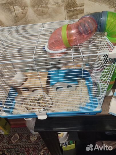 Продам клетку в месте с хомяками